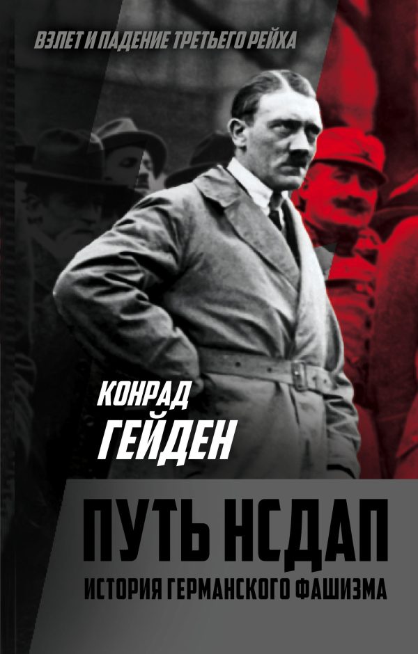 Обложка книги «Путь НСДАП. История германского фашизма»