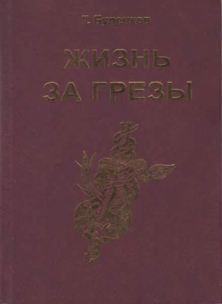 Обложка книги «Жизнь за грезы, или Околдованная женщина»