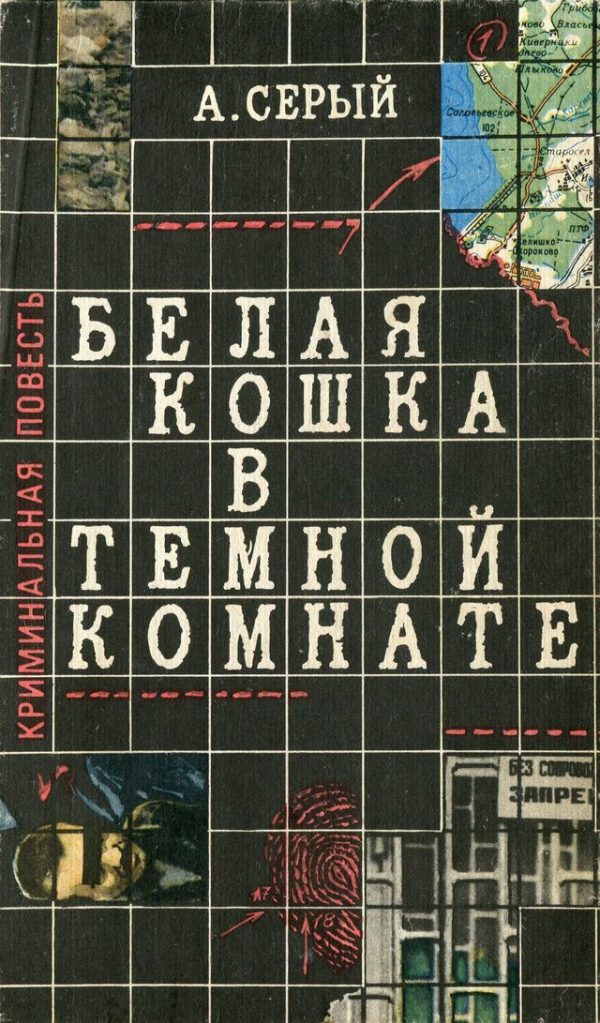 Обложка книги «Белая кошка в темной комнате»