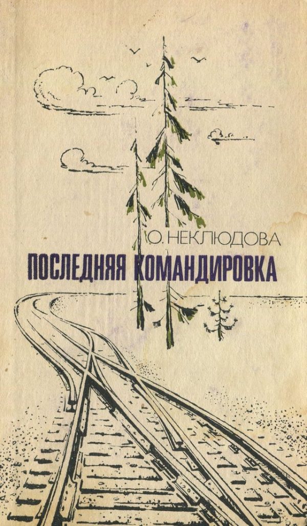 Обложка книги «Последняя командировка»