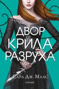 Обложка книги «Двор от крила и разруха»