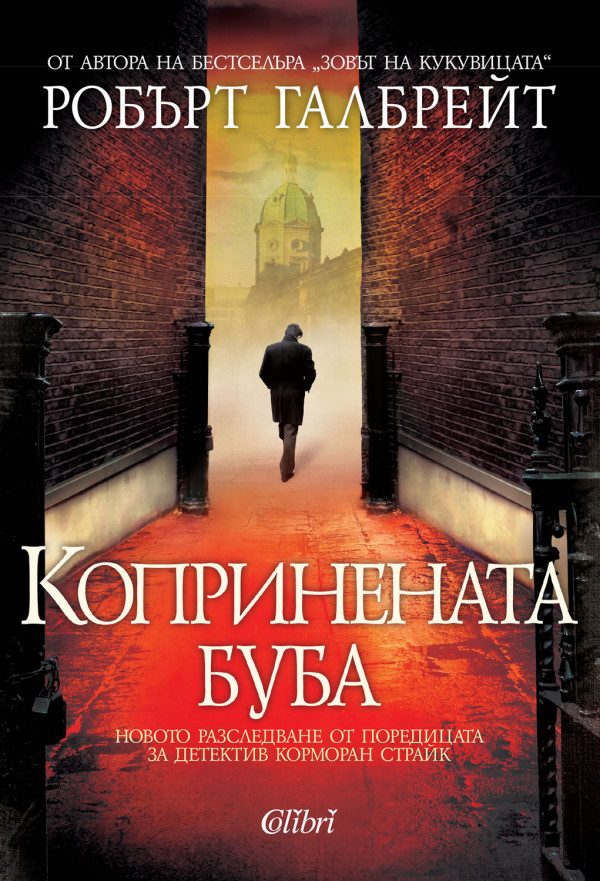 Обложка книги «Копринената буба»