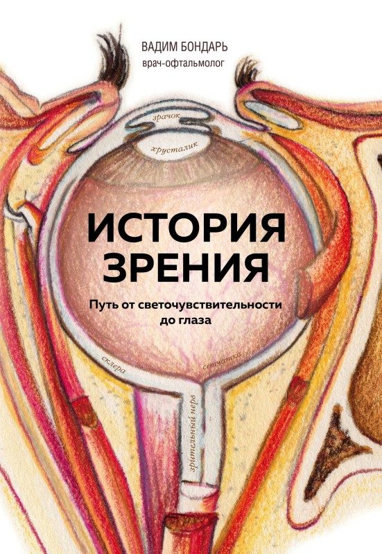 Обложка книги «История зрения: путь от светочувствительности до глаза»
