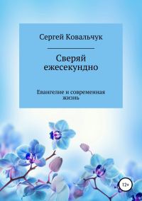 Обложка книги «Сверяй ежесекундно»