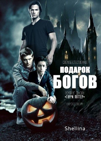 Обложка книги «Подарок богов»