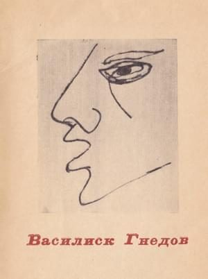Обложка книги «Эгофутурналия без смертного колпака»