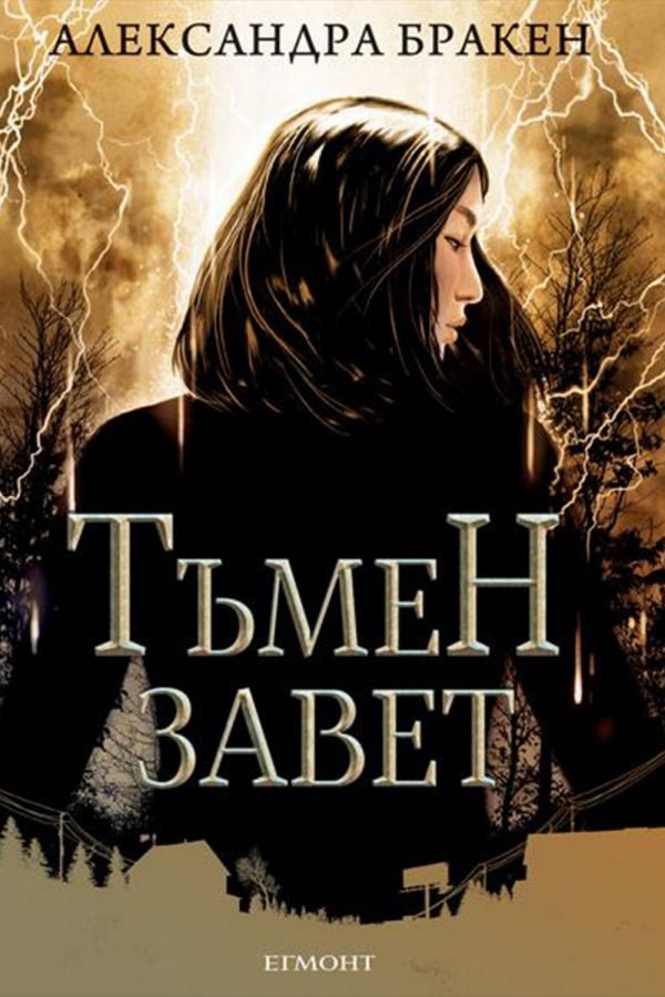 Обложка книги «Тъмен завет»