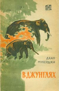 Обложка книги «В джунглях»