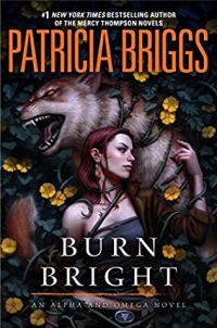 Обложка книги «Burn Bright»