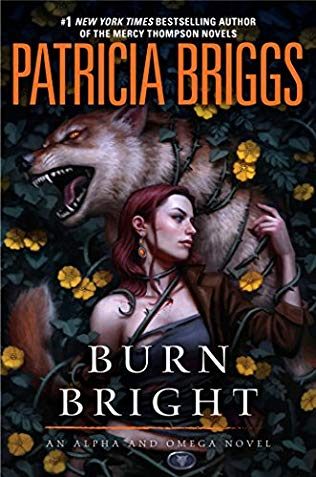 Обложка книги «Burn Bright»