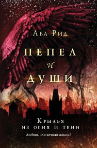 Обложка книги «Крылья из огня и тени»