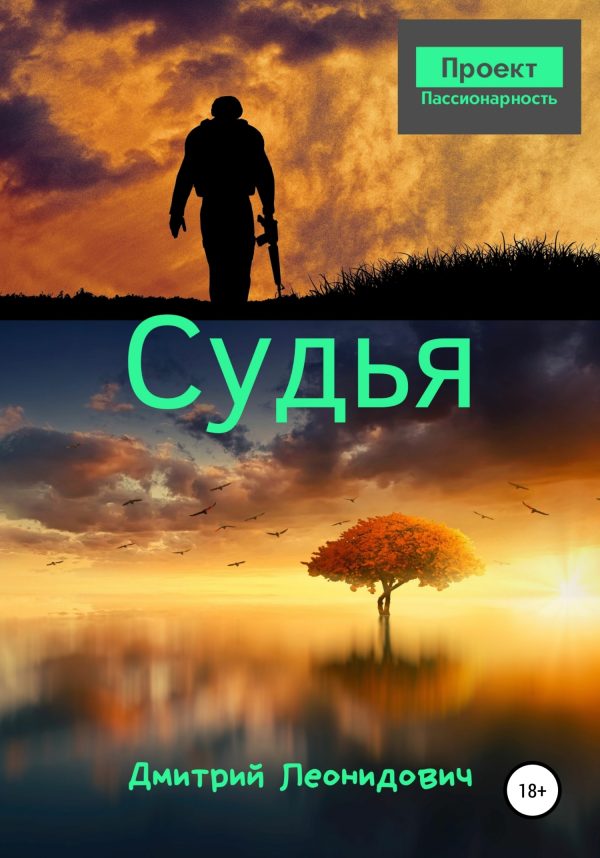 Обложка книги «Судья»