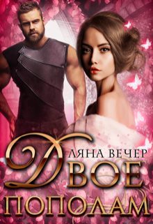 Обложка книги «Двое пополам»