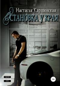 Обложка книги «Остановка у края»