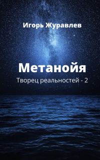 Обложка книги «Метанойя»