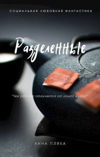 Обложка книги «Разделенные»