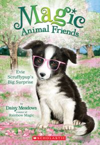 Обложка книги «Evie Scruffypup’s Big Surprise»
