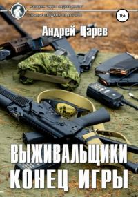 Обложка книги «Конец игры»