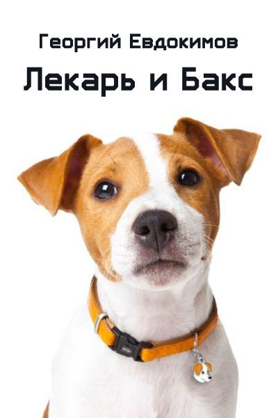 Обложка книги «Лекарь и Бакс»