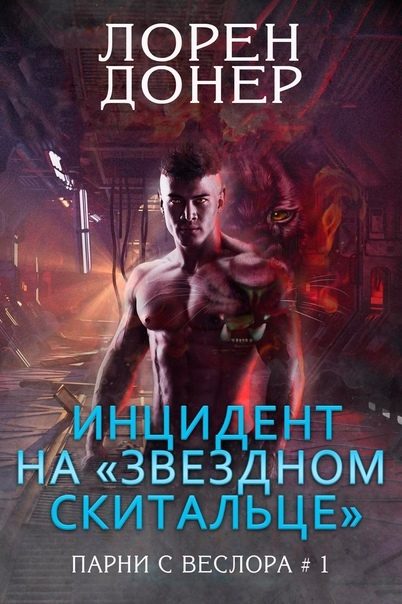 Обложка книги «Инцидент на «Звездном Скитальце»»