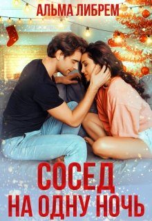 Обложка книги «Сосед на одну ночь»