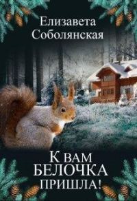 Обложка книги «К вам белочка пришла... [СИ]»
