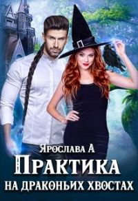 Обложка книги «Практика на драконьих хвостах. Книга 1»