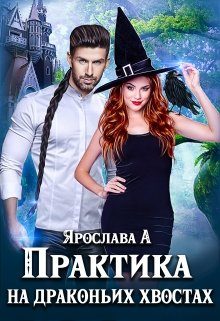 Обложка книги «Практика на драконьих хвостах. Книга 1»