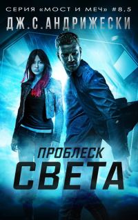 Обложка книги «Проблеск Света»