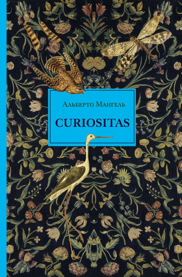 Обложка книги «Curiositas. Любопытство»