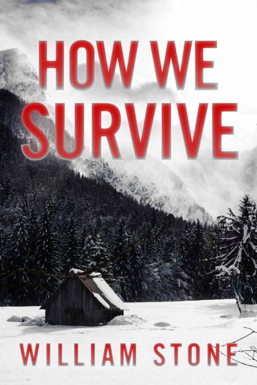 Обложка книги «How We Survive: EMP Survival in a Powerless World»