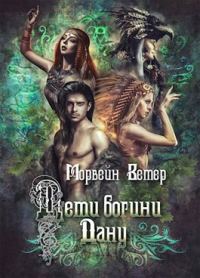 Обложка книги «Дети богини Дану»