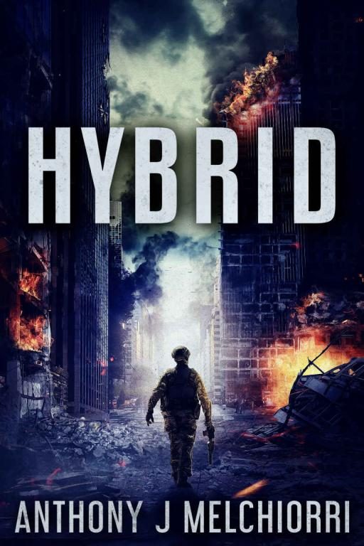 Обложка книги «Hybrid»