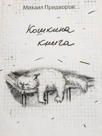 Обложка книги «Кошкина книга»