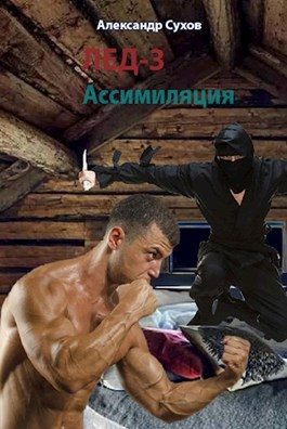 Обложка книги «Ассимиляция»