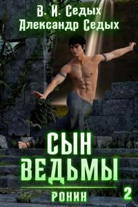 Обложка книги «Ронин»