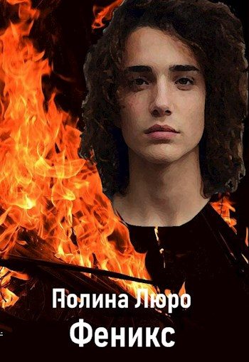 Обложка книги «Феникс»