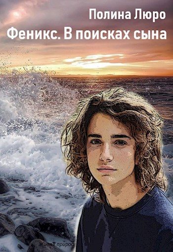 Обложка книги «В поисках сына»