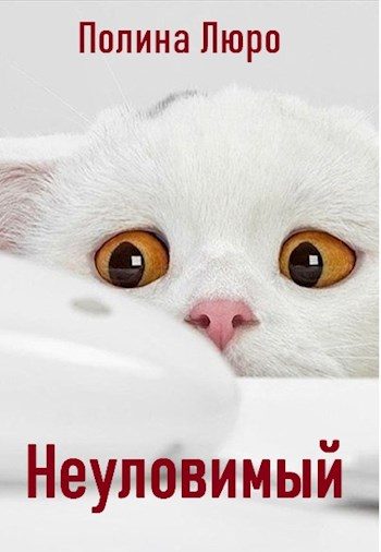Обложка книги «Неуловимый [СИ]»
