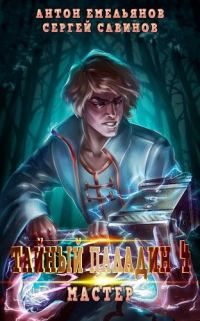 Обложка книги «Тайный паладин 4: Мастер»