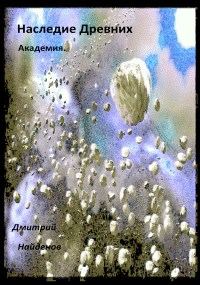 Обложка книги «Академия»