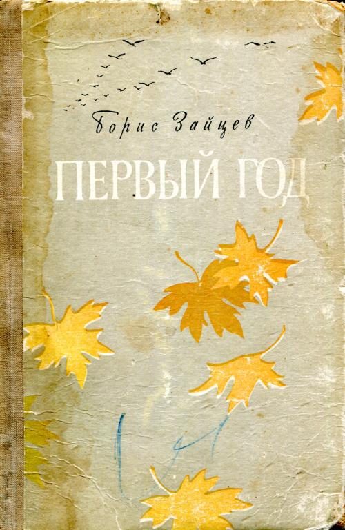 Обложка книги «Первый год»