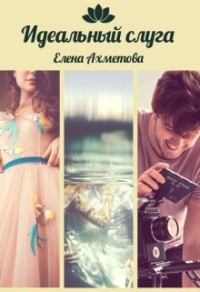 Обложка книги «Идеальный слуга»