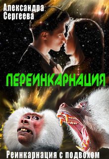 Обложка книги «Переинкарнация»