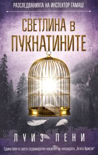 Обложка книги «Светлина в пукнатините»