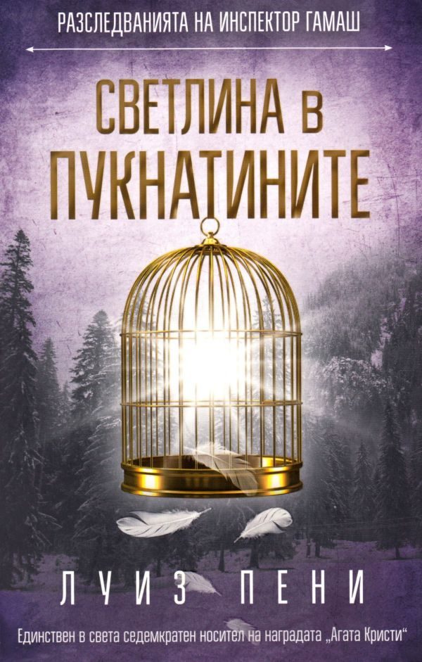 Обложка книги «Светлина в пукнатините»