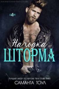 Обложка книги «Находка Шторма»