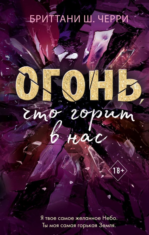 Обложка книги «Огонь, что горит в нас»