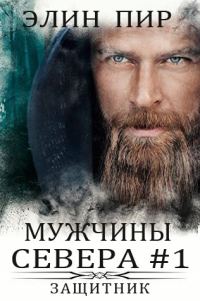 Обложка книги «Защитник»