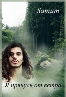 Обложка книги «Я прячусь от ветра»